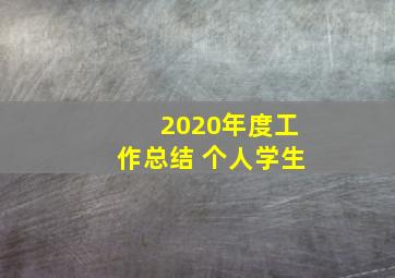 2020年度工作总结 个人学生